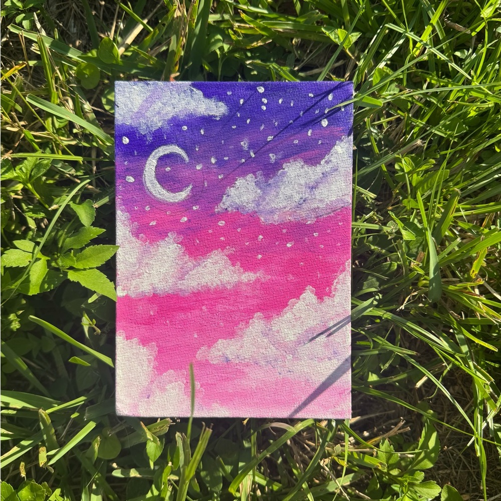 Pink and Purple Sky Canvas Art